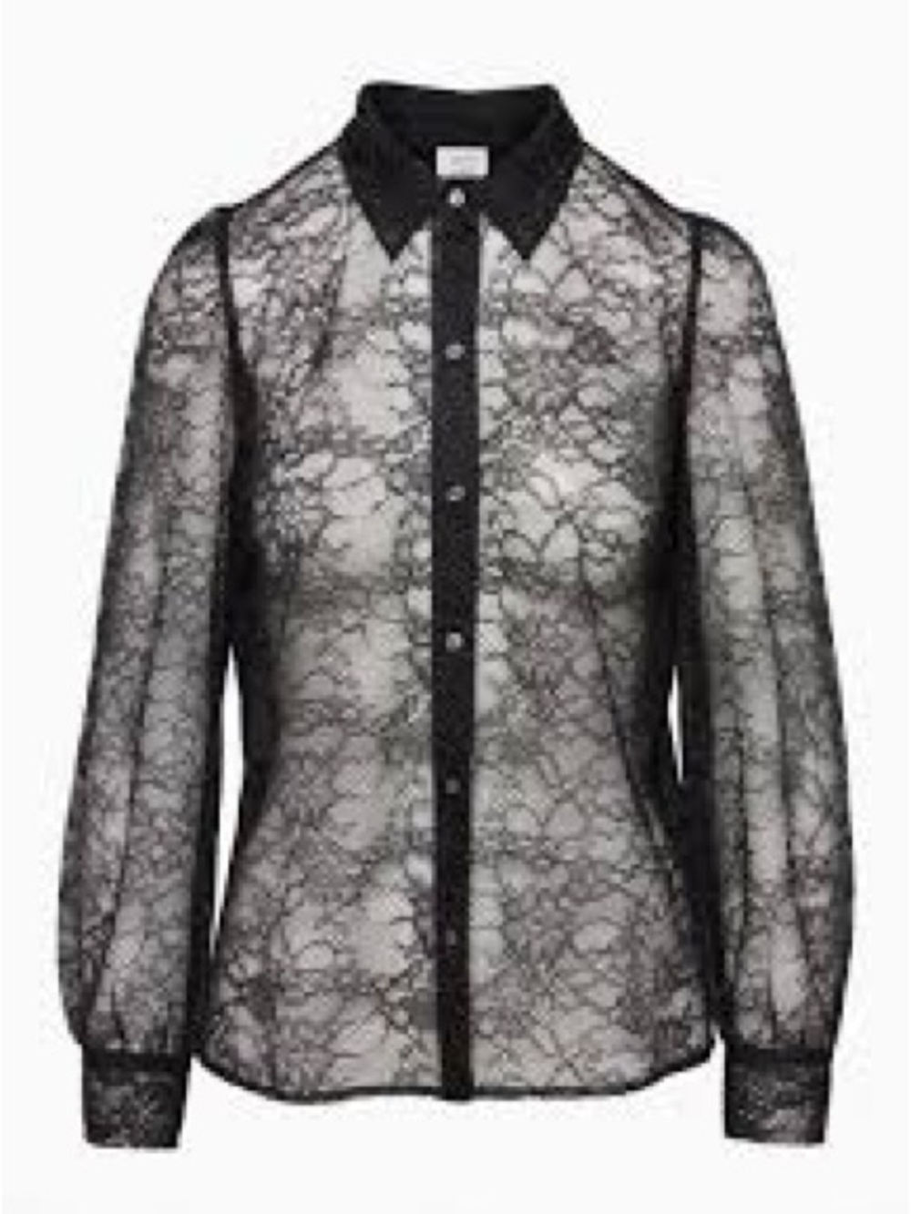 Wilfred Black Lace Sheer Button-Up Blouse